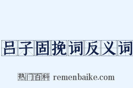 吕子固挽词反义词是什么意思的图片